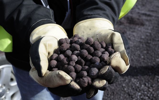 Ferrexpo expects volatility in the iron ore market and postpones the payment of dividends