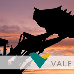 «Vale»: продажи ЖРС остаются высокими