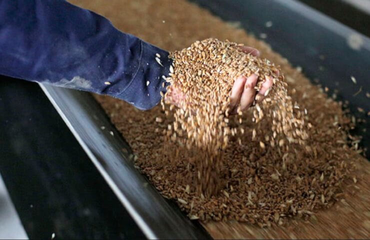 Мировые цены на продовольствие взлетели до рекордно высокого уровня на фоне российско-украинского конфликта