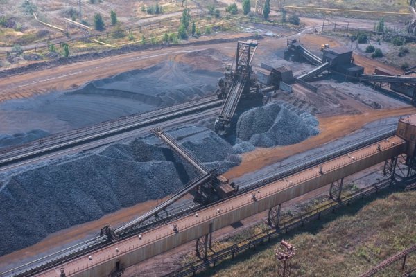 "Металлоинвест" вложил в 2024 году в охрану природы 26,5 млрд рублей