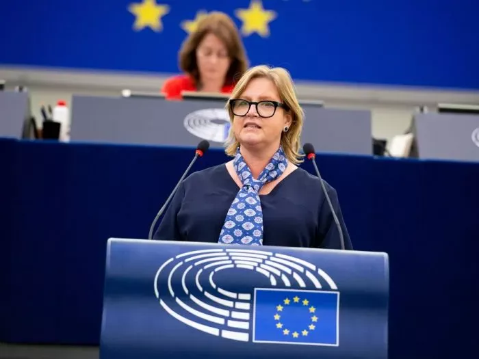 Торговая политика ЕС должна стать инструментом поддержки украинской экономики – когда украинцы защищают нас, - европарламентарий