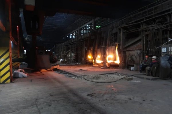  "Металургійний завод" Петросталь  " до 2030 року інвестує в модернізацію потужностей з випуску сталі 2,5 млрд рублів
